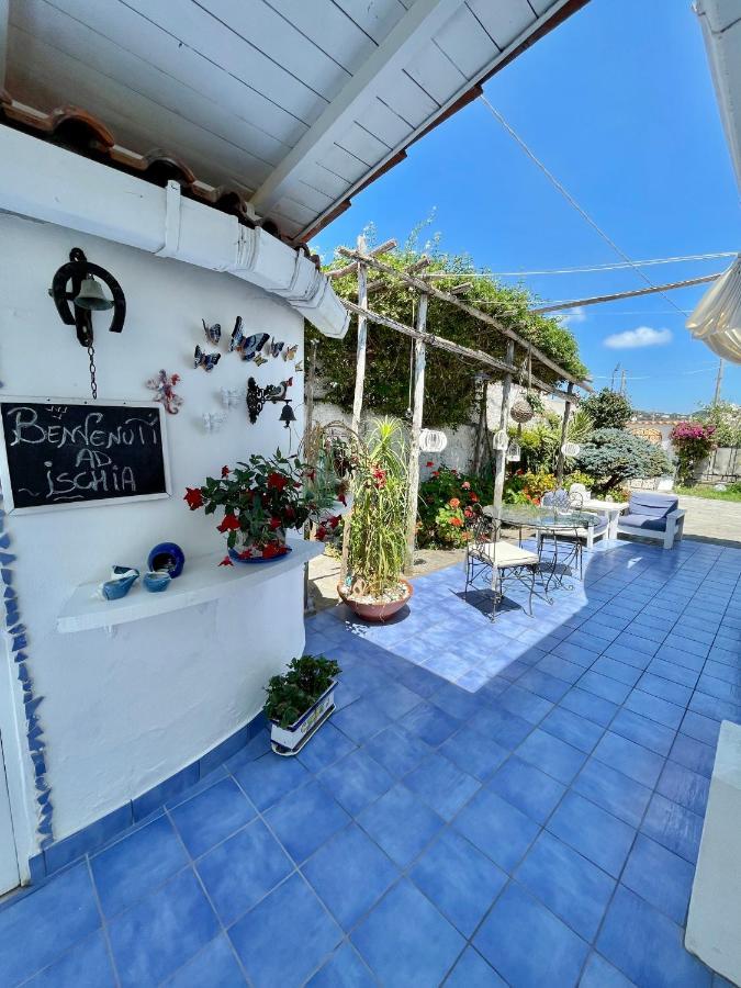La Bicocca Di Annavi Bed & Breakfast Forio  Exterior photo