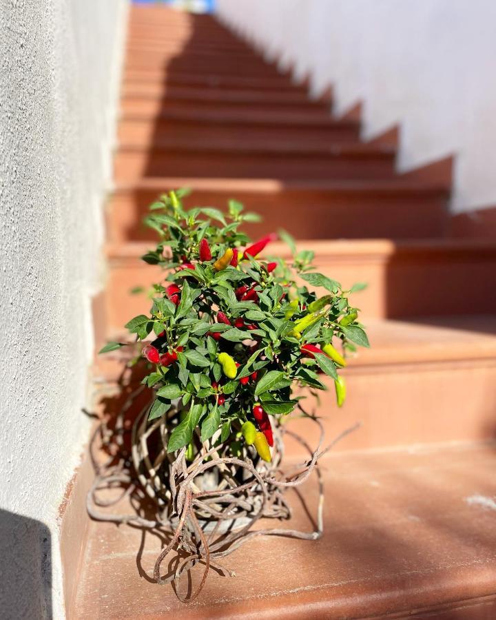 La Bicocca Di Annavi Bed & Breakfast Forio  Exterior photo